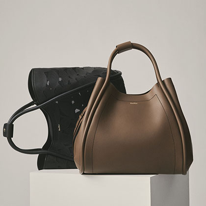 Bags Max Mara